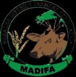 MADIFA logo