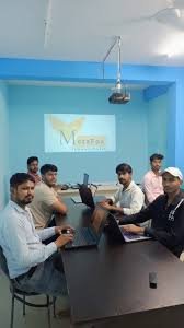MetaFox Office